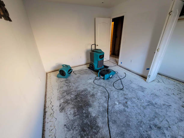 Best Water damage restoration near me  in Surf City, NC